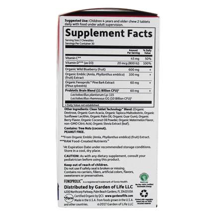 Dr. Formulated Brain Health Attention & Focus Brain Support for Kids Watermelon Berry - 60 Chewables