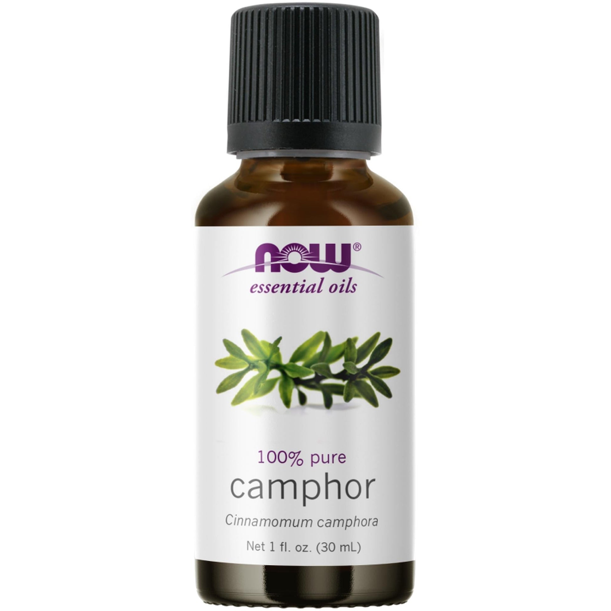 Now Foods, Camphor Oil 100% Pure, 1 oz