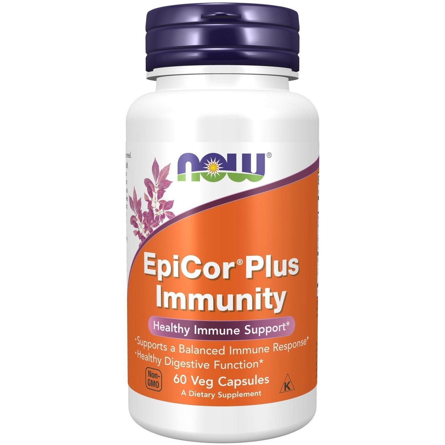 Now Foods, EpiCor Plus Immunity, 60 Veg Capsules