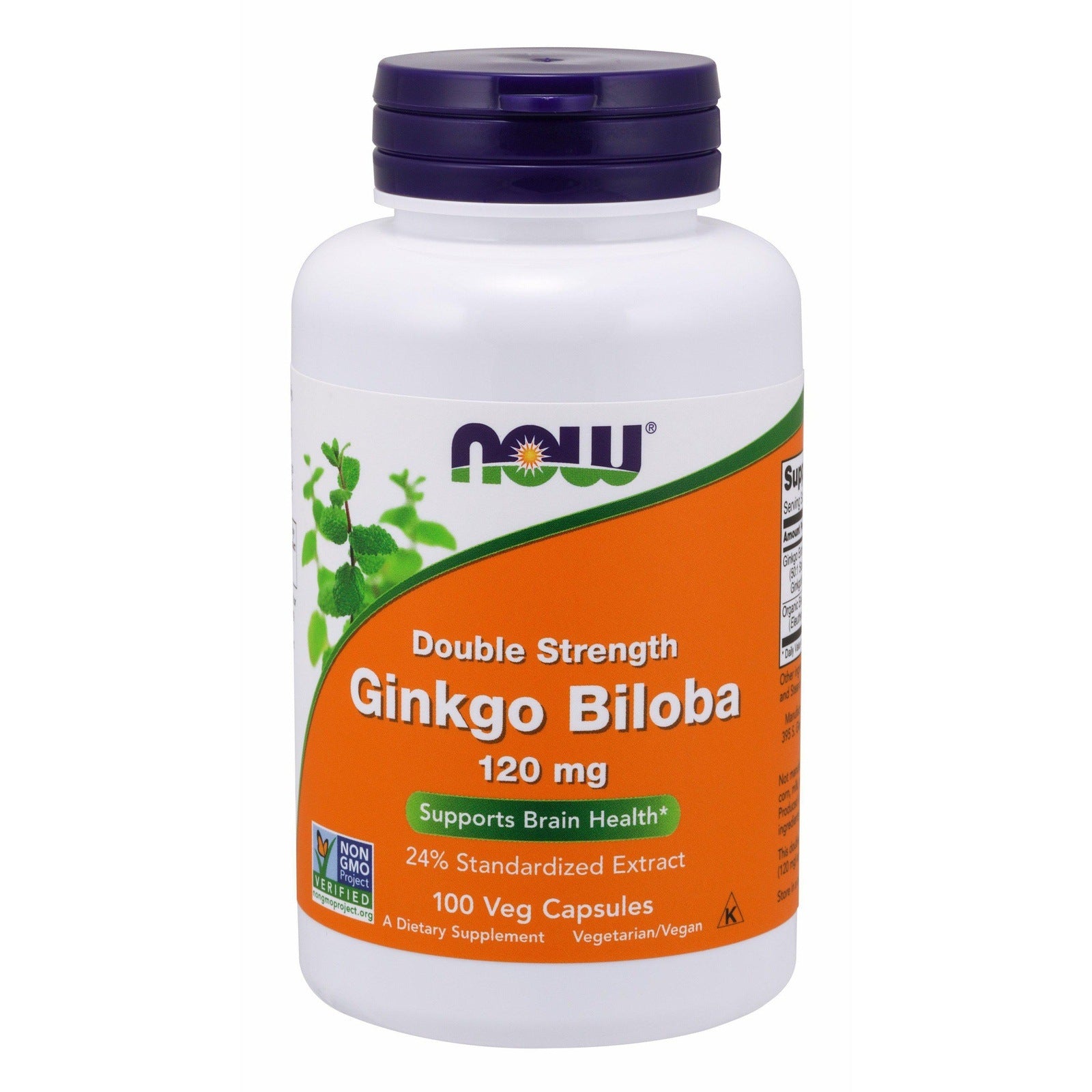 Now Foods, Ginkgo Biloba 120 mg, 100 Veg Capsules