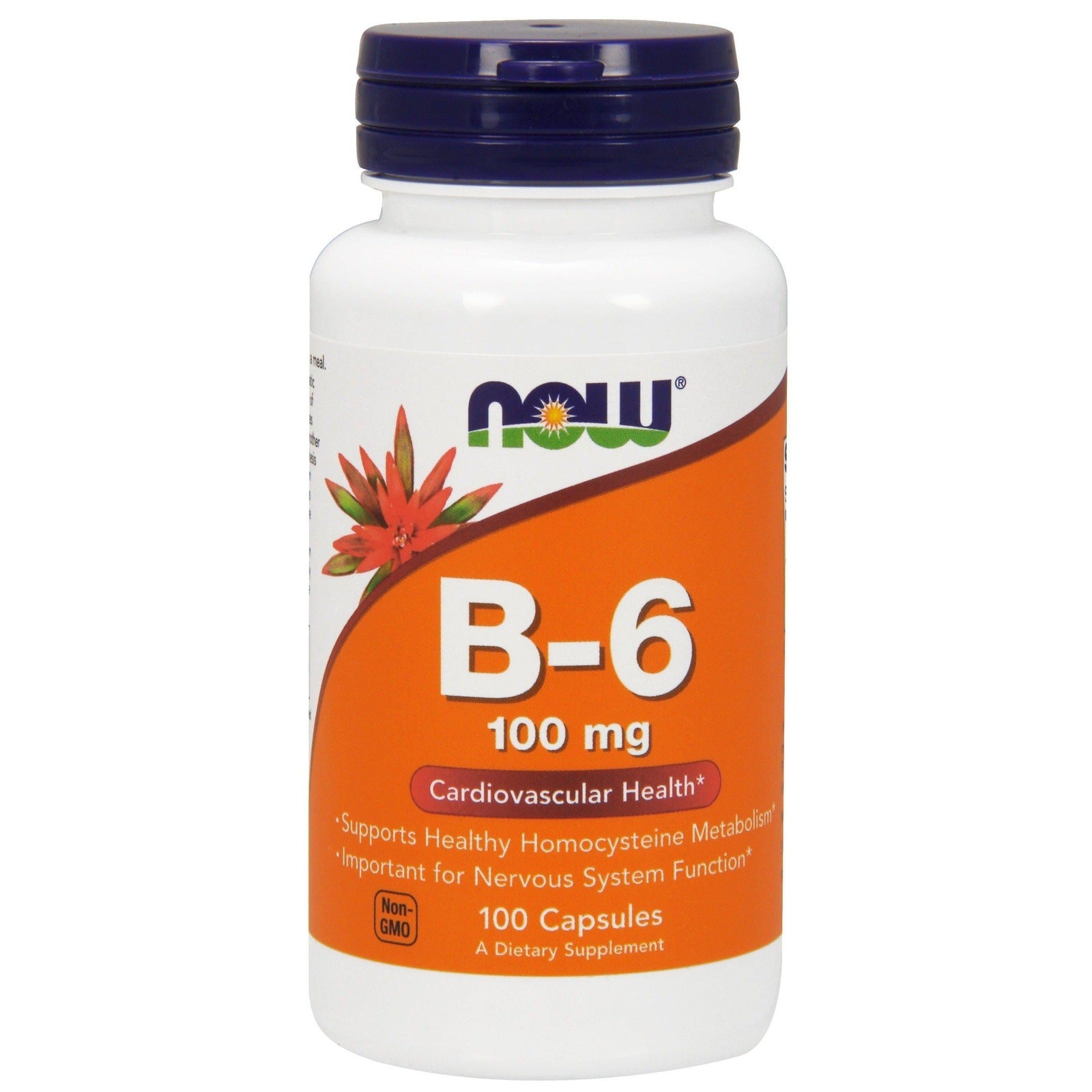 Now Foods, Vitamin B-6 100 mg, 100 Capsules