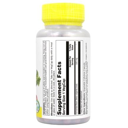 Solaray Fermented Beet Whole Root Organically Grown 500 mg, 100 Veg Capsules